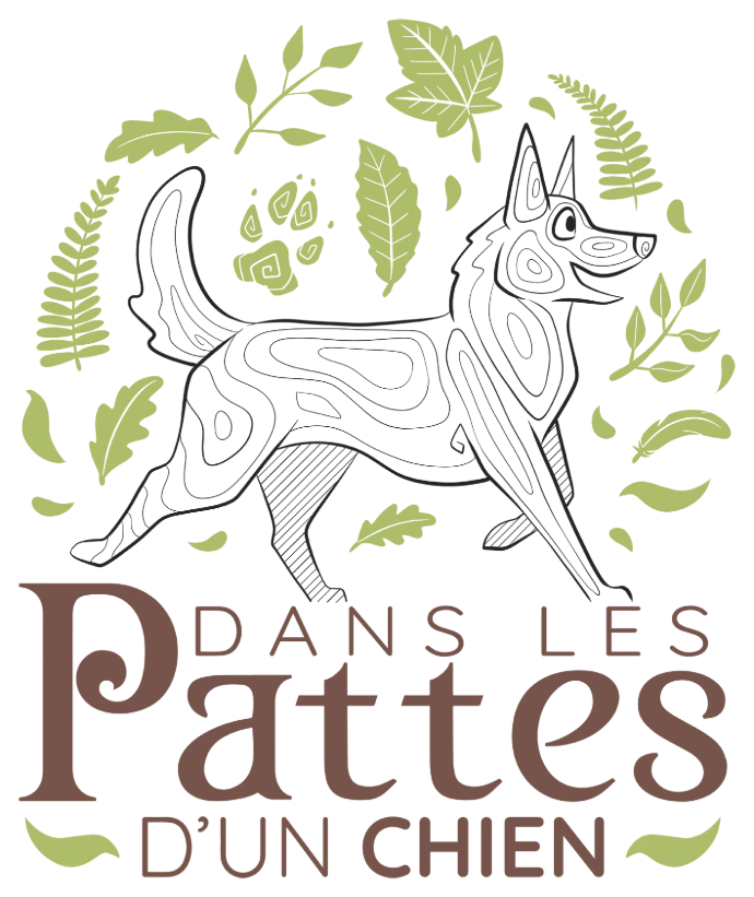 Dans les pattes d'un chien